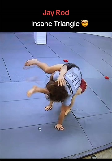 Best Daily BJJ Clips and Techniques