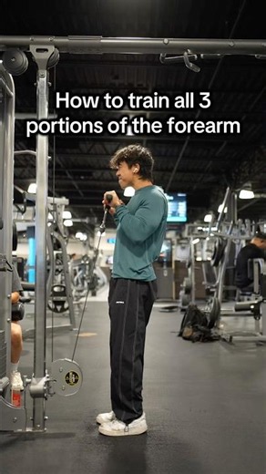 How to Train all 3 Parts of the Forearms (For Better Growth)