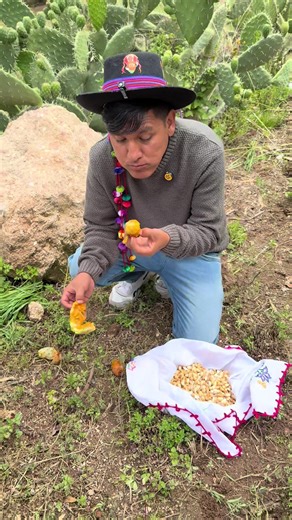 Delicias del Campo: Comidas Saludables de Ayacucho