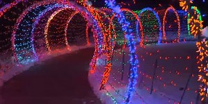 Green Bay Botanical Garden lights up the holidays