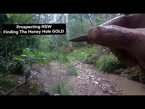 Prospecting for a New honey hole! || Mogo State Forest NSW Australia
