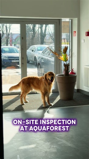 At Aquaforest, we take our standards seriously - which means regular quality checks. Today’s was an important one… and definitely a special visit. 💜 Inspection: passed. 🐾 Treats: earned. | Aquaforest