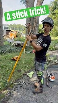 A Rope Flip Trick! #treecutting #treeclimbing