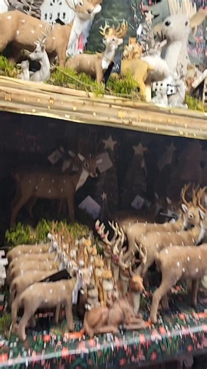 🎄"Noël en forêt" se prépare dans votre magasin Botanic de Thonon-les-Bains🎄 | botanic®