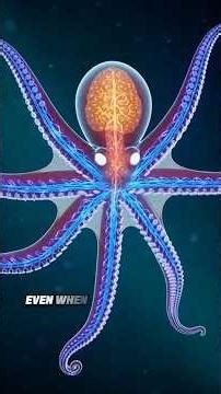 Octopus:The Alien Intelligence Living Underwater #facts #octopus #rarebiology #shorts #octopusfacts