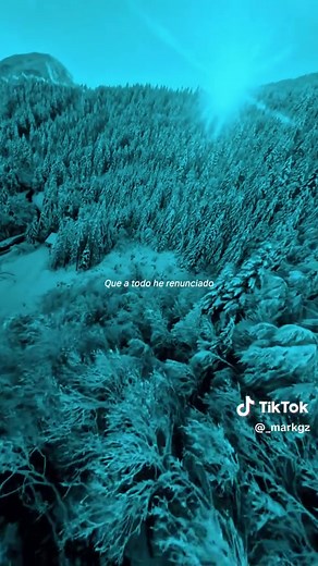lyrics_song on TikTok