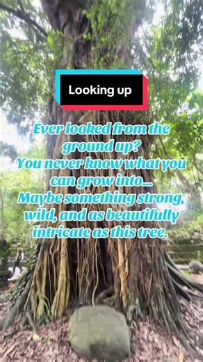 Sometimes you’ve got to stop, look from the ground up, and remember where growth starts. Every big, breathtaking tree started as something small… a little seed just figuring things out. Bit by bit, root by root, branch by branch, it grew into something incredible. So if you’re feeling a little “seed-sized” today, don’t stress. Keep growing, keep reaching, and who knows… one day you might be standing tall, strong, and just as amazing and intricate as this beauty. #Sonic #sonicsquirrelsquad #look 