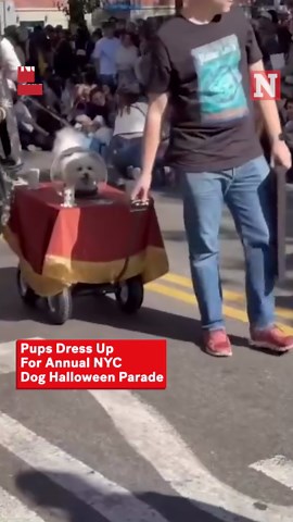 Best Costumes at NYC Halloween Dog Parade