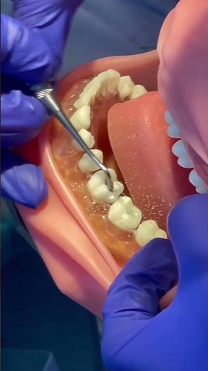 Day in the life of a Dental Hygiene student here at WCU