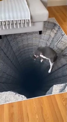 Cat’s Funniest Reaction to a 3D Hole Carpet #trending #pets #crazz