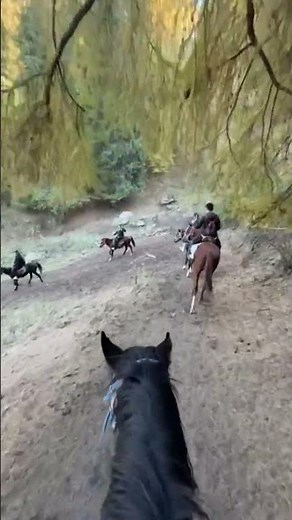 Horseback Riding in the Mountains of Kyrgyzstan 🏔️🐎