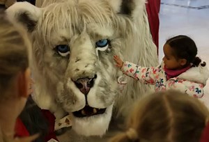 A short but delightful round-up of highlights from our events in 2016 #OutdoorArts | Fool's Paradise Ltd