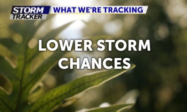 Trying to avoid an elephant stampede? There’s an app for that