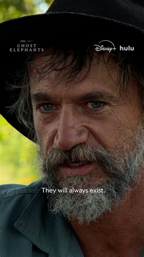 Steve Boyes on Instagram: "In Ghost Elephants, we explore the “Land at the end of the Earth” where truth is embodied, relational, and provisional. We’re drawn to the edges – deserts, jungles, volcanoes – places where certainty dissolves. In this forest, the edge of the end, the land leads. All the KhoiSan master trackers, Luchaze hunters, and Angolan kings, could ever be was witnesses. This film invites us into this uncertainty, not as a failure, but as an expression of freedom. We must all lear