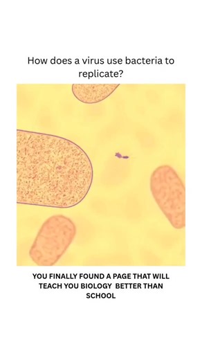 15K views | Viruses that infect bacteria—called bacteriophages—are...