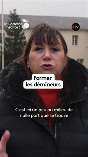 C'est un centre de formation unique en son genre : il forme des démineurs qui œuvrent pour la sécurité de tous. | France 3 Alsace