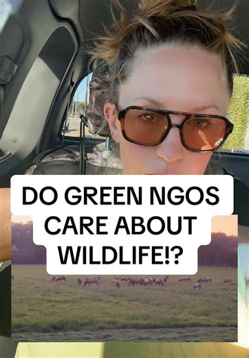This is a story about two elk herds. These headlines are happening simultaneously just a few hours from each other. What does this tell you about the real goals of green NGOs? Full story on the UNWON Substack! #UNWON