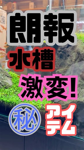 [Aquarium Revolution!] Secret items that will dramatically change your aquarium layout #shorts #a...