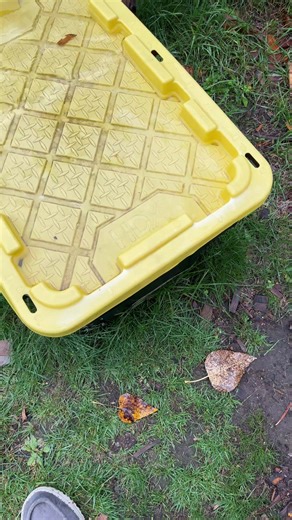 Not a spoon #bushcraft #asmr #woodcarving #woodworking | Squatch and Sons