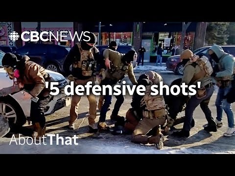 Was Alex Pretti a 'would-be assassin’? We break down the footage of fatal ICE shooting | About That