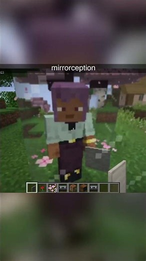 mirrorception