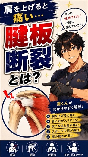 【腱板損傷 を肩くんが解説！】#ふうりん接骨院 #腱板損傷 #ケガ #スポーツ障害 #たいキャラ #肩の痛み