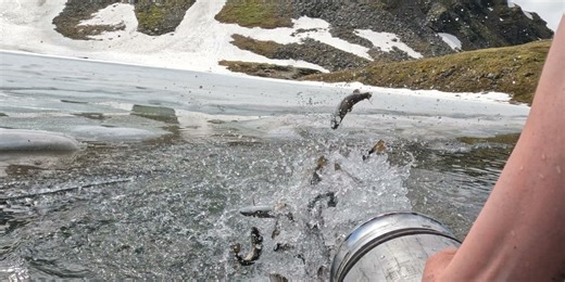 Fishing Report: Rainbow Trout swimming in Summit Lake signifies end of stocking season