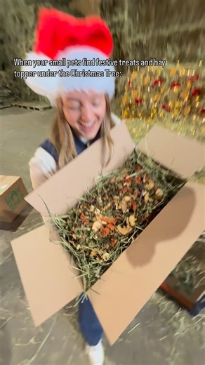 Rockin’ around the Christmas tree after finding the festive treats and hay topper… 🎄💚 This year Santa’s bringing not one but two festive goodies to fill your pets’ bowls with Christmas cheer! 🎄 Festive Hay Topper: A vibrant festive mix designed to encourage natural foraging and enrichment at feeding time. It contains dandelion leaves, parsley and dill stalks, rose petals, red cornflowers, pea flakes, parsnip chips, carrot slices, apple chips, and rosehips. 🎄 Festive Treat Mix: A delicious bl