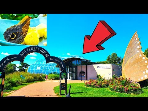 Sophia M. Sachs Butterfly House St. Louis Missouri Full Tour