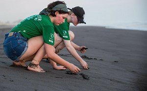 Wildlife Conservation Volunteering Abroad | Projects Abroad AU