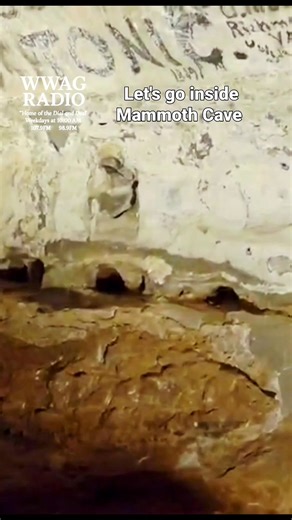 This was the easy tour .Took over an hour to complete it .Longest #Cave system in the world at over 400 miles #mammothcave #cave #exploring #adventure #facebookreel | Patty Hudson