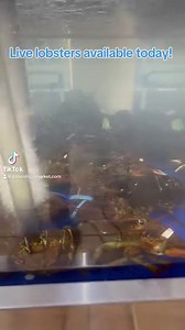 23 reactions | Live lobsters available today! $18.99lb 咽 | JB'S Seafood | Facebook