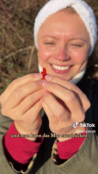 Hagebutten: Die Vitamin-C-Bombe für deine Gesundheit