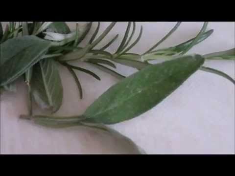 Diced lamb in the slow cooker (crock pot)