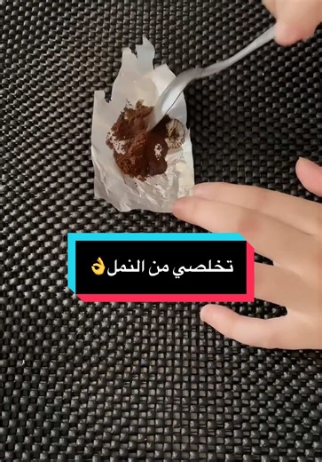 Effective Ways to Get Rid of Ants