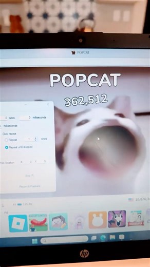 popcat hacks