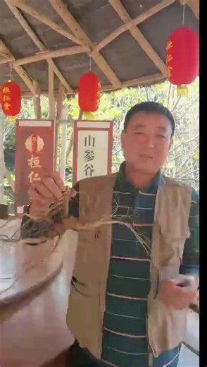 摇钱树村在绿水青山中找到摇钱树