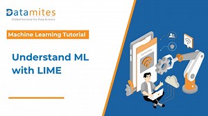 AI vs Human Intelligence: Key Differences and Future Predictions