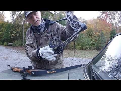 Bear Pledge Compound and Bear Sonoma Recurve bow 2019