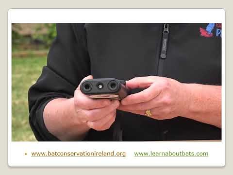 An Introduction to Using Bat Detectors