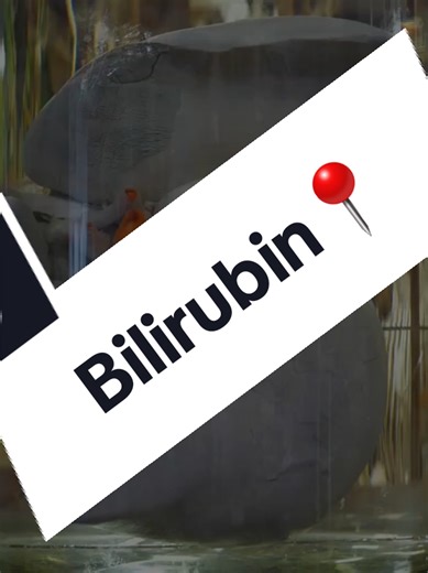 Understanding Bilirubin: Types and Characteristics