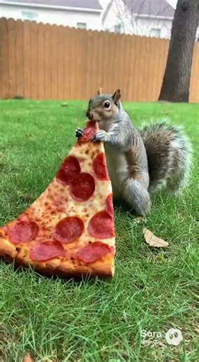 This Voice-Over Went Completely Wrong 😂 #funnyshorts #funny #voicecrack #memes