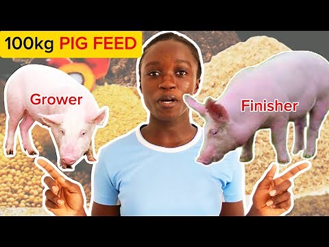 Detailed Preparation of 100kg of Grower and Finisher PIG FEED