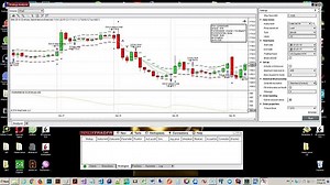 006 Optimization Fitness Parameters