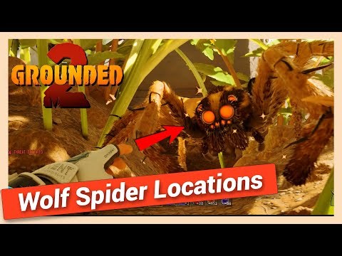 Wolf Spider Spawn Locations in Grounded 2 | Where to Find