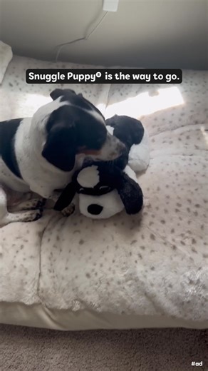 Being a puppy in a new home can be hard, but a new best friend can make all the difference. 🐶 Comfort anxious dogs with the Snuggle Puppy® PLUS featuring a motion-activated Real-Feel Heartbeat®. See what colors are in stock today! | Original Snuggle Puppy