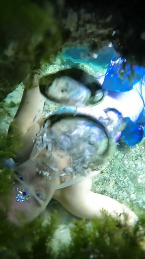 Blup 💦 #thewanderingmermaid #mermaid #bubble #blooper