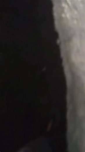 amandapigsley (@amandapigsley)’s videos with Wolves At the Door - Bad Seed Rising