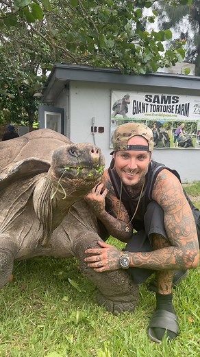 Tyler Nolan on Instagram: "Feeding the LARGEST TORTOISE IN THE WORLD 😱 Professor is 107 years old! Galapagos tortoises are the first largest tortoise and second are the Aldabras ! Happy world tortoise day! Thanks for having us over @floridaiguanatortbreeders #giant #reel #short #explorepage #animal #wildlife #florida"
