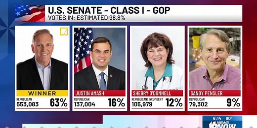 Michigan U.S. Senate Primary Election Results 2024